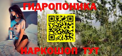 гидра Усть-Джегута