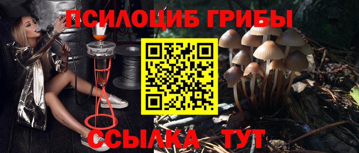 Галлюциногенные грибы MAGIC MUSHROOMS  Псилоцибиновые грибы прущие грибы  Вход с VPN  Новозыбков 
