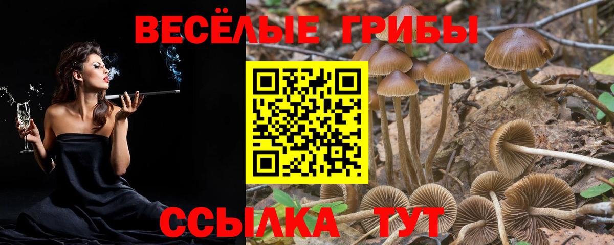Галлюциногенные грибы мицелий Новозыбков